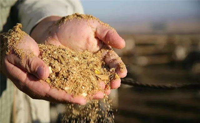 飼料添加劑檢測